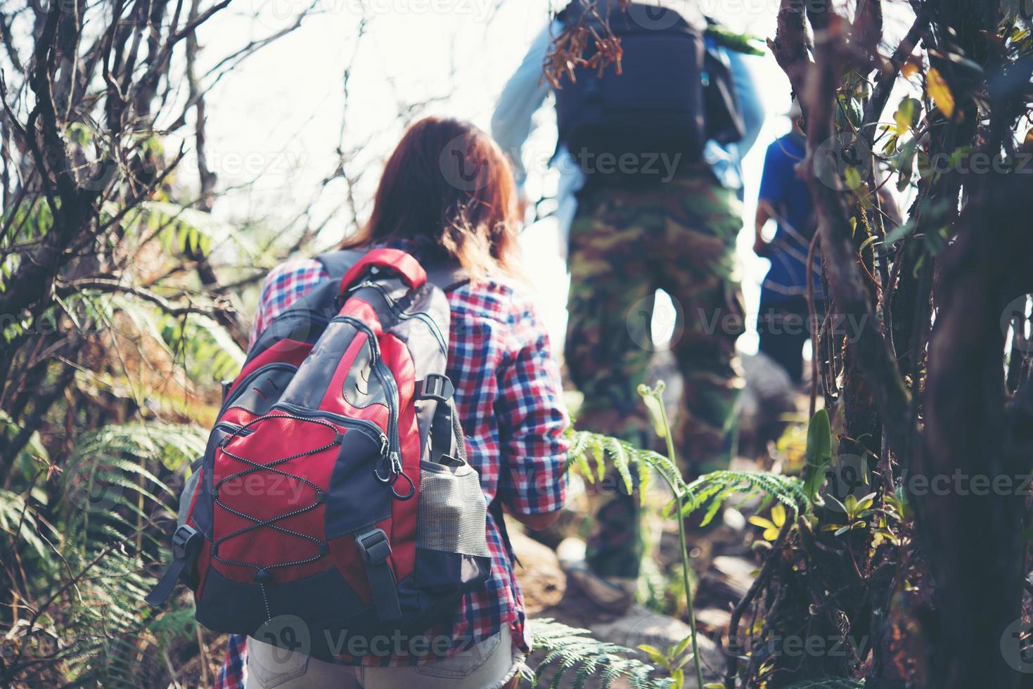 close-up de amigos caminhando com mochilas na floresta, nos fundos foto