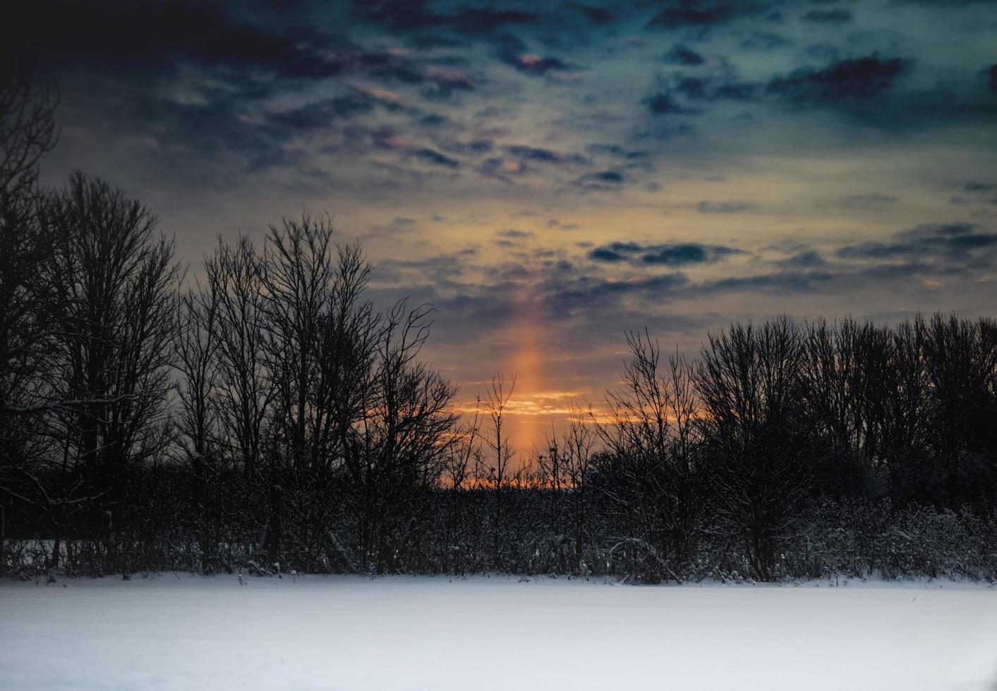 nascer do sol com céu nublado sobre árvores e campos nevados foto