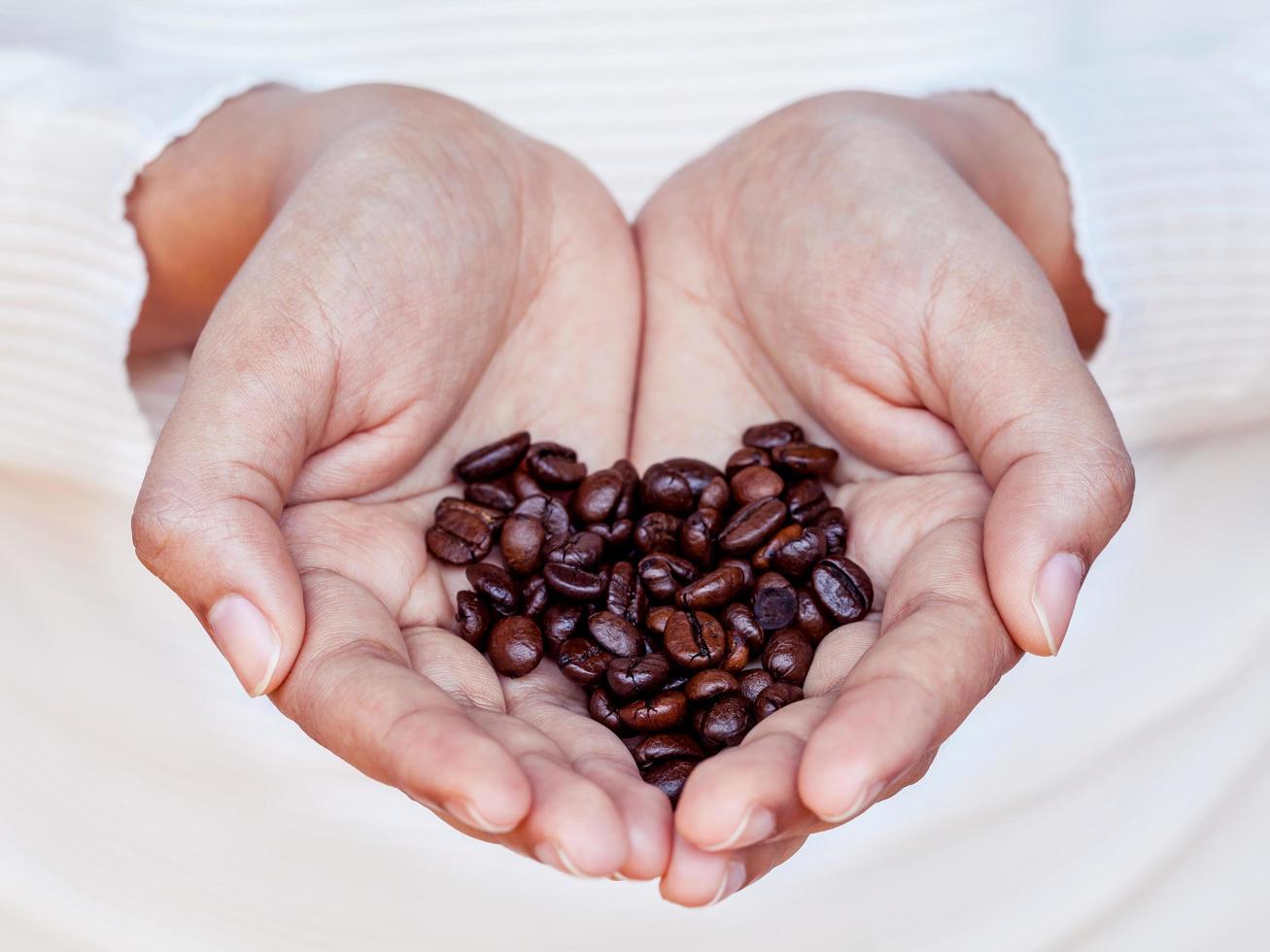 grãos de café nas mãos foto