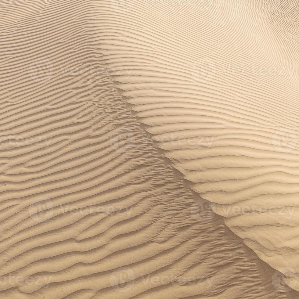 bela duna de areia no deserto de thar, jaisalmer, rajasthan, índia foto