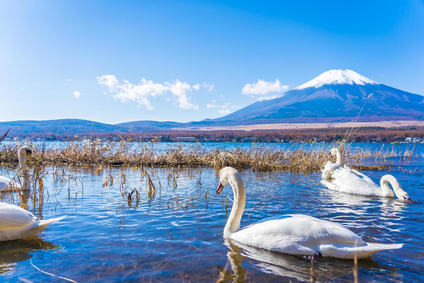 bela vista de mt. fuji do lago yamanakako, japão foto