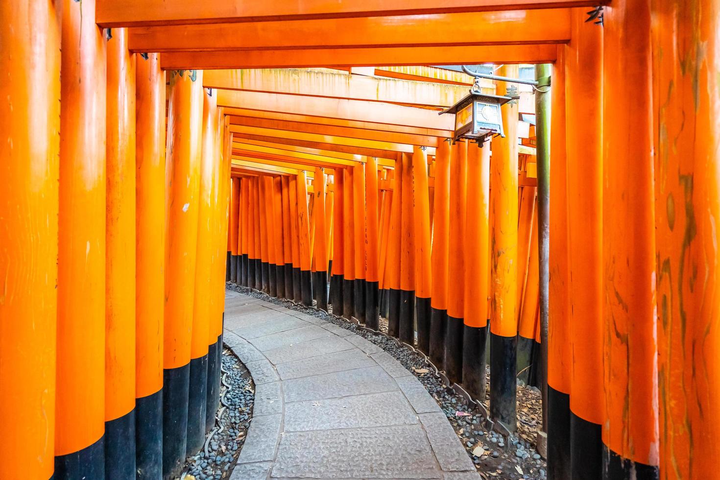 torii gates no santuário fushimi inari em kyoto, japão foto