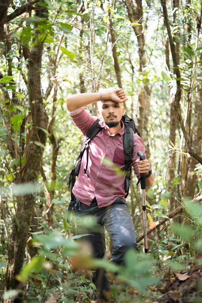 jovem caminhante ativo pela floresta em direção à montanha foto