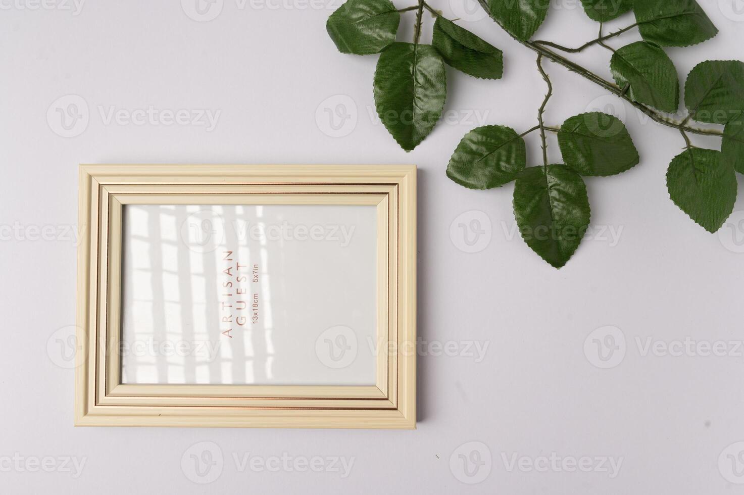 foto topo Visão do quadro, Armação com plantar folhas