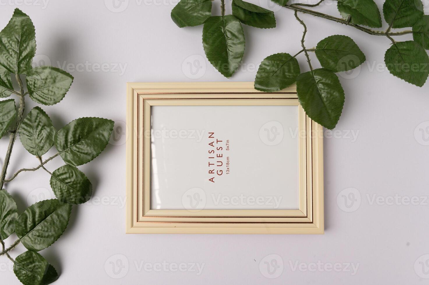 foto topo Visão do quadro, Armação com plantar folhas