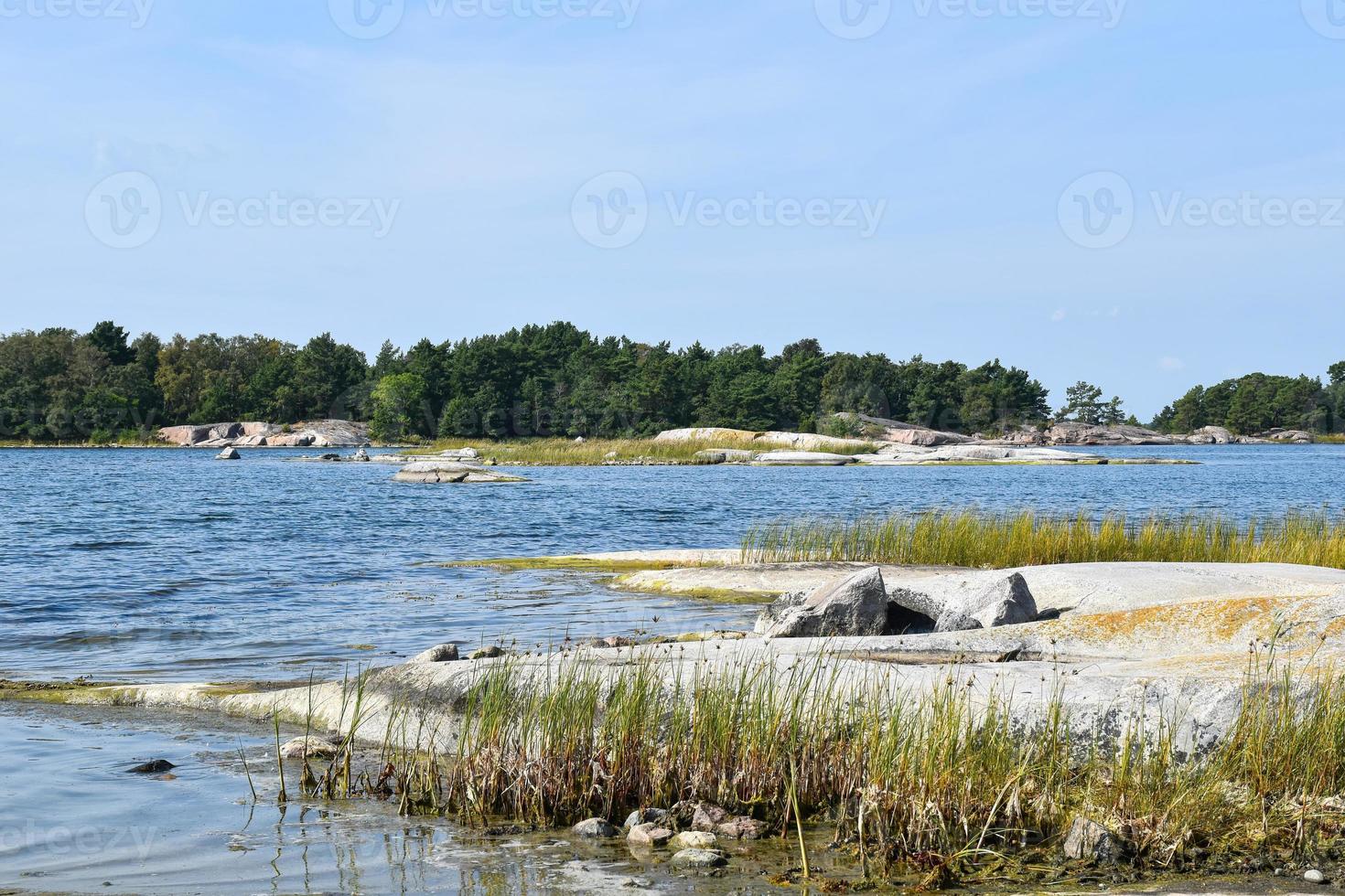 Estocolmo Suécia arquipélago lago vegetação foto