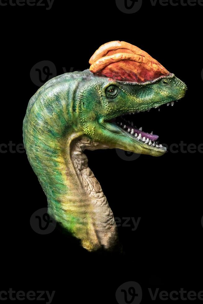 a cabeça do dilofossauro dentro a Sombrio , dinossauro em Preto fundo foto