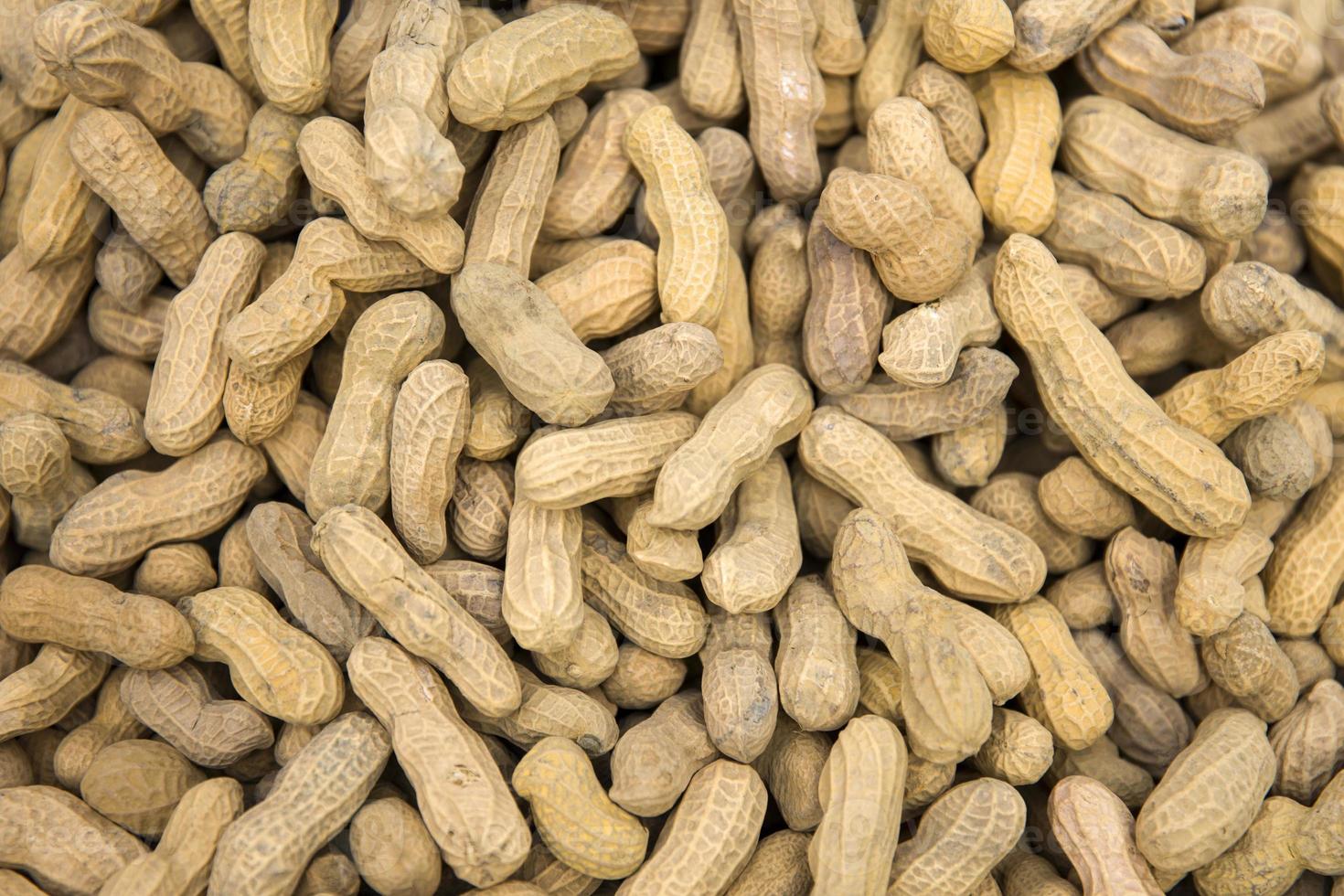cascas de amendoim no mercado foto