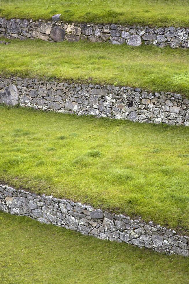 terraços verdes no peru foto