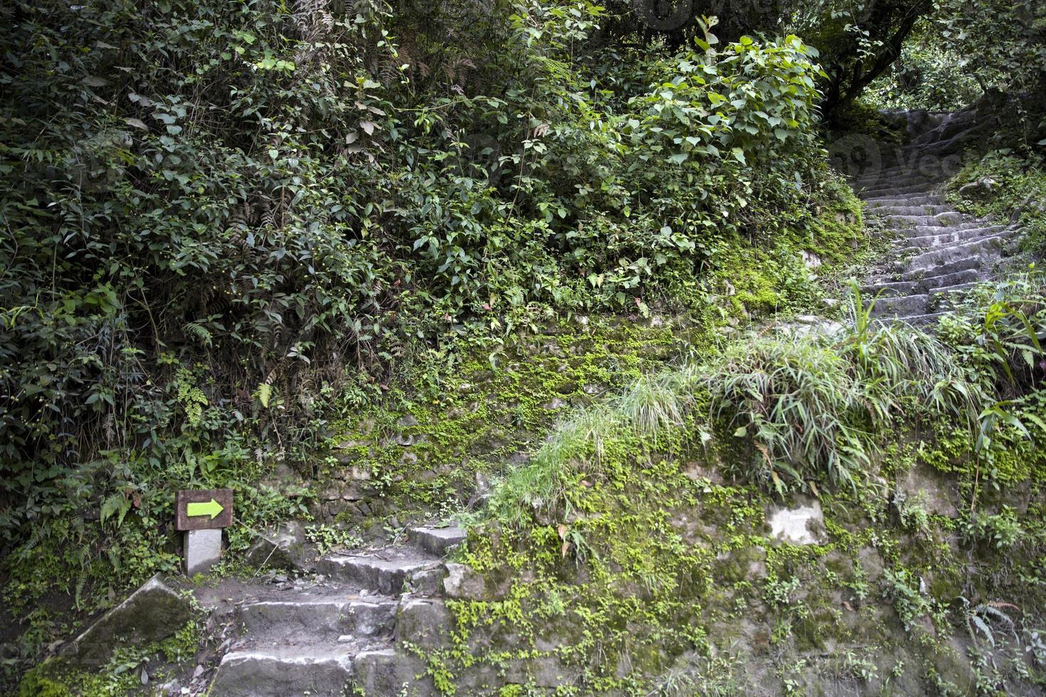 machu picchu em peru foto