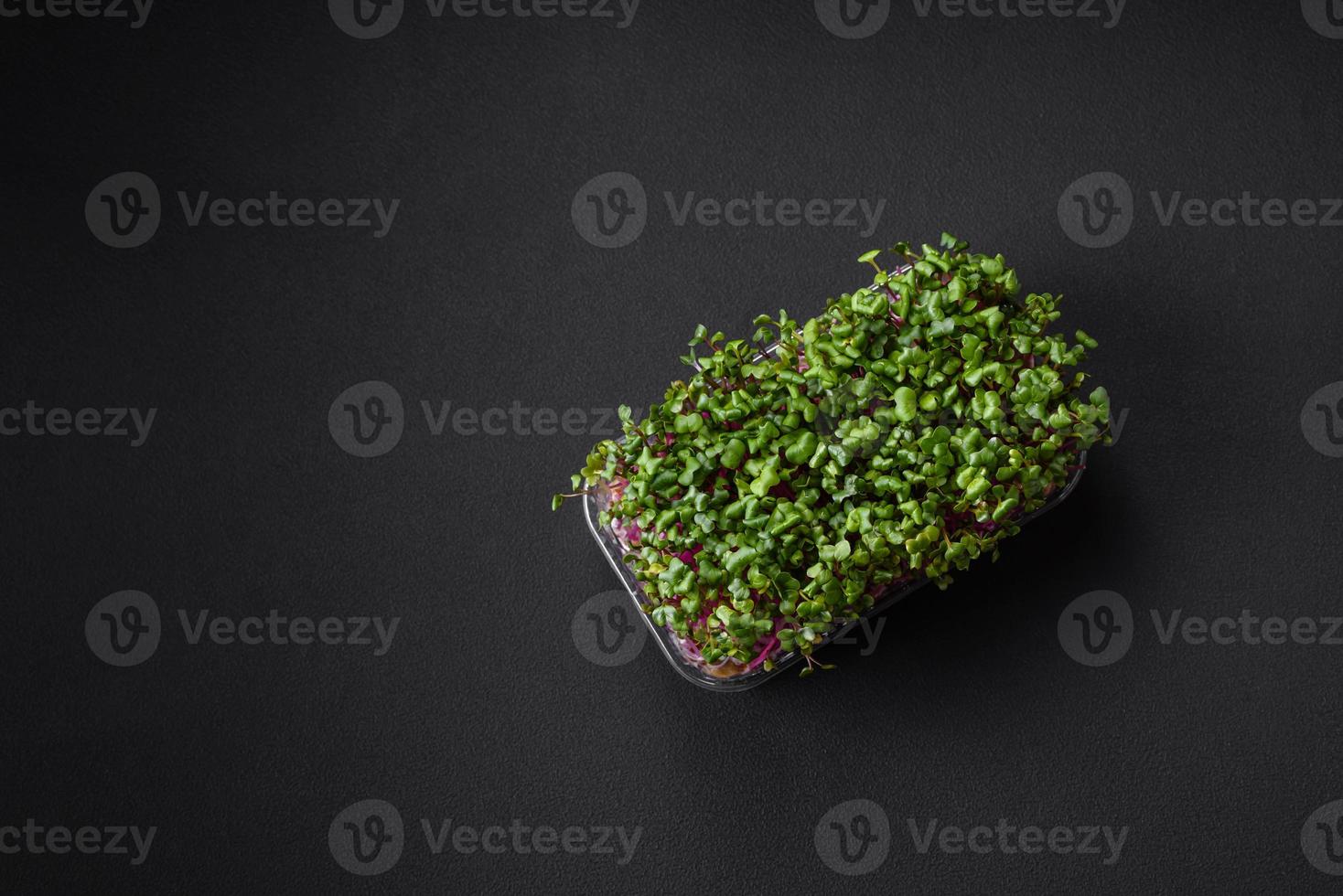 fresco microgreen rabanete dentro uma plástico caixa em uma Sombrio concreto fundo foto