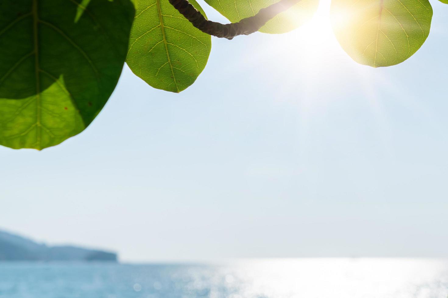 cenário de natureza tropical de praia limpa e areia branca no verão foto