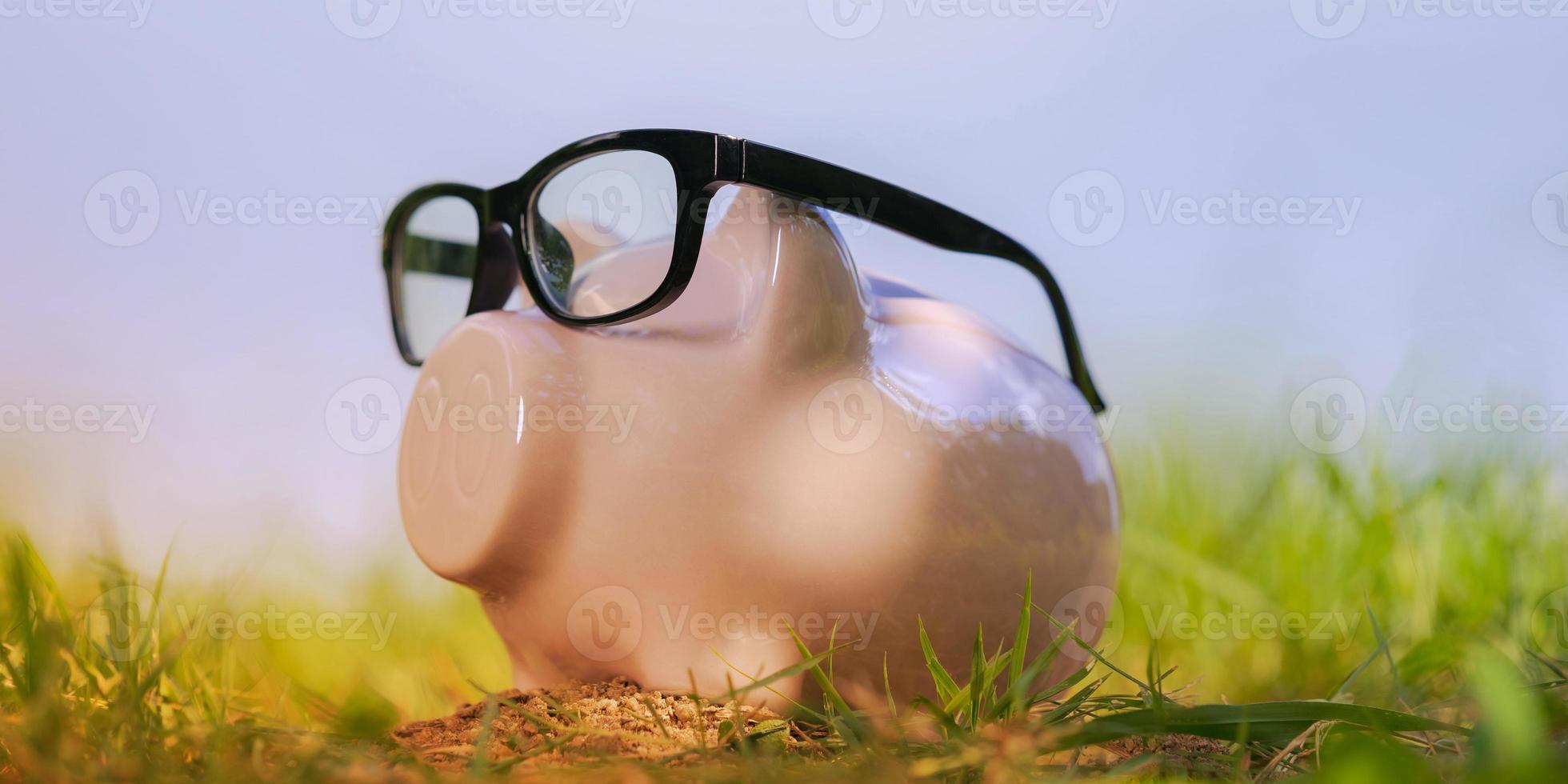 cofrinho rosa com óculos na grama sob o céu azul foto