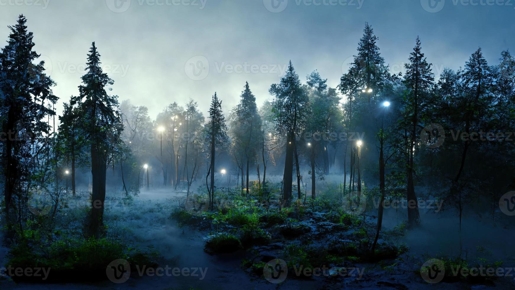 sombrio floresta dentro a névoa às noite foto