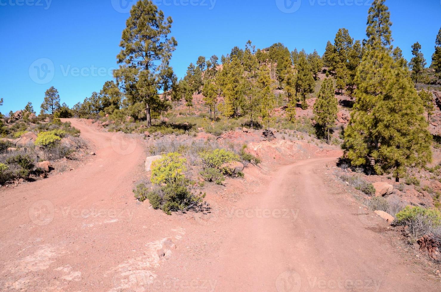 vista panorâmica da estrada foto