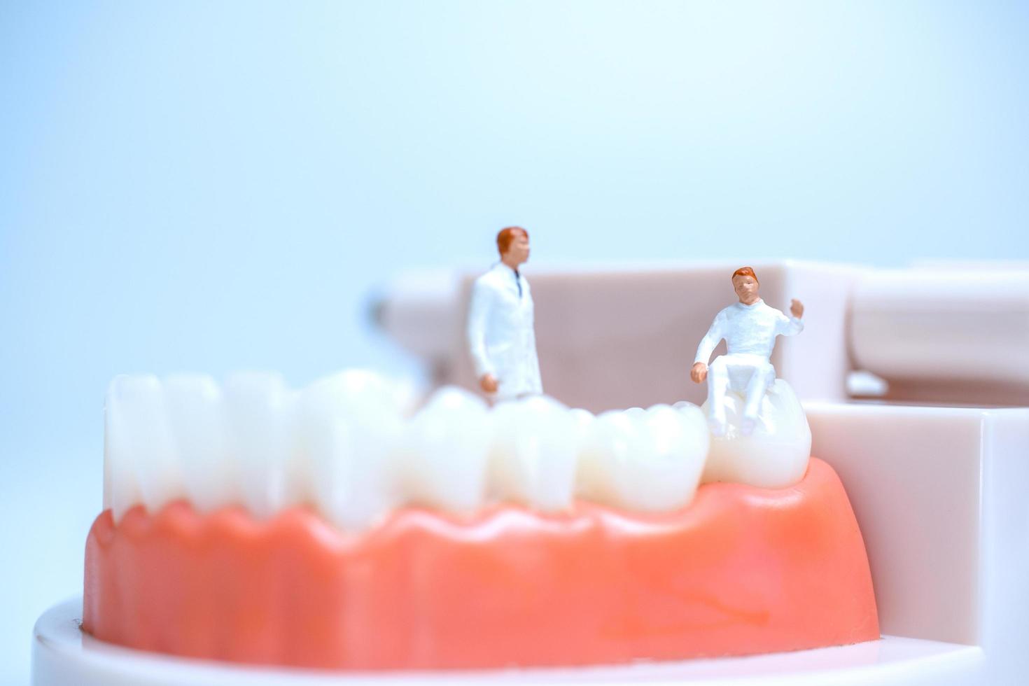 dentistas em miniatura dentro de modelos de dentes humanos com gengivas foto