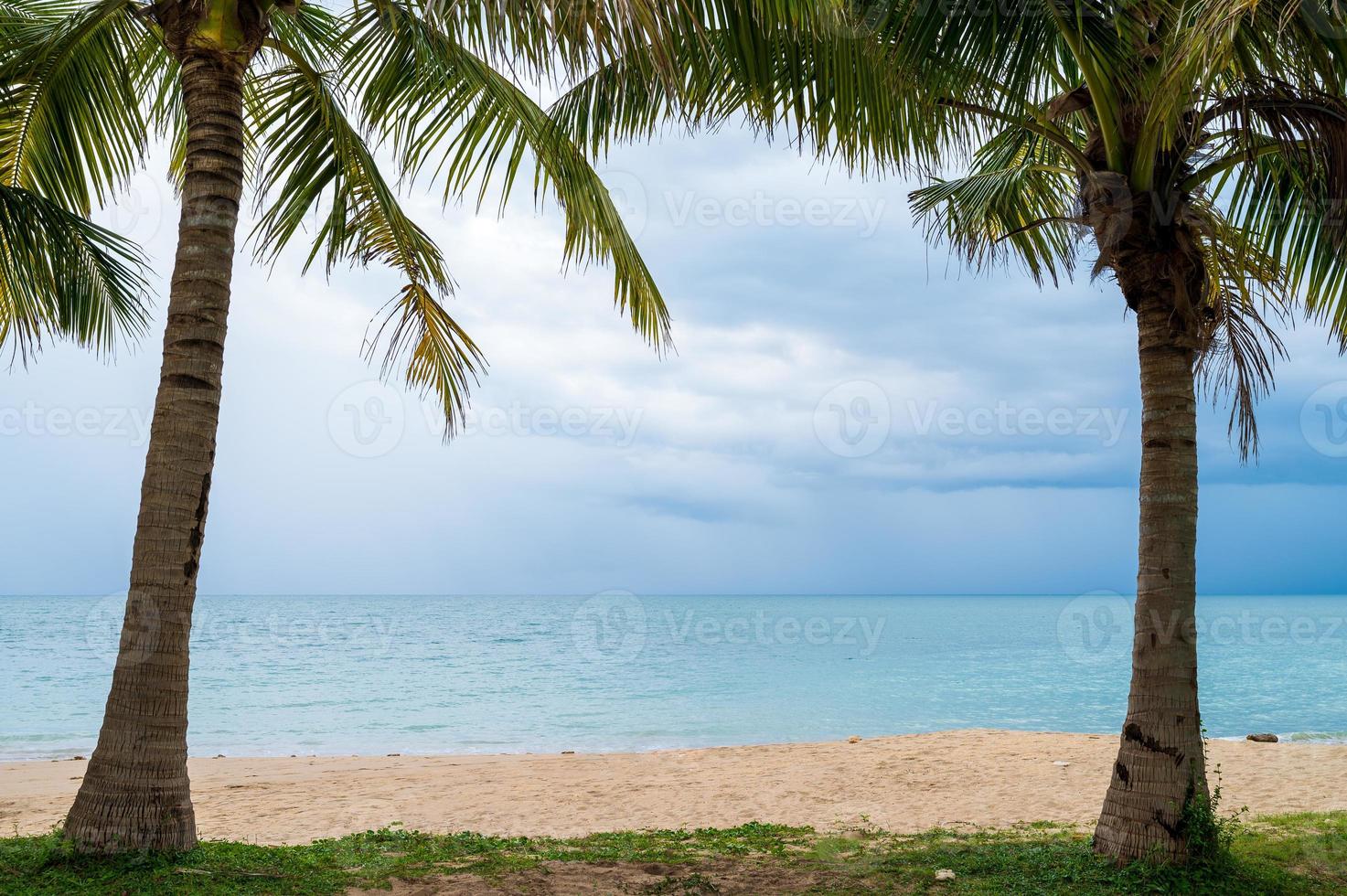 moldura de palmeiras com praia de areia foto