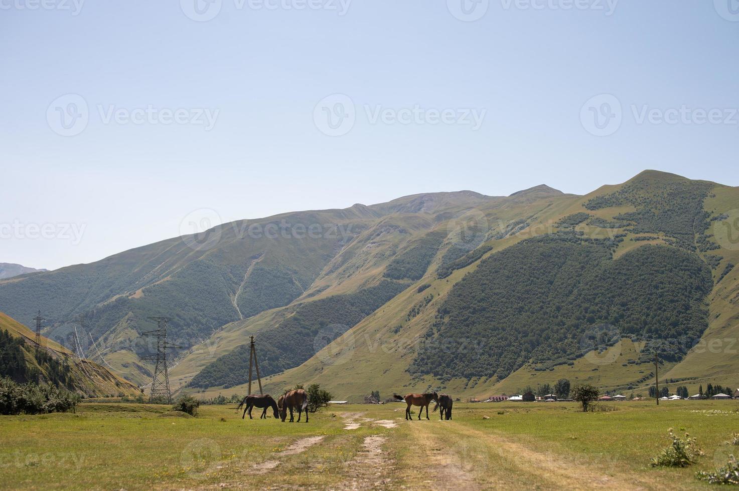 Visão do uma montanha Vila com uma pasto do cavalos foto