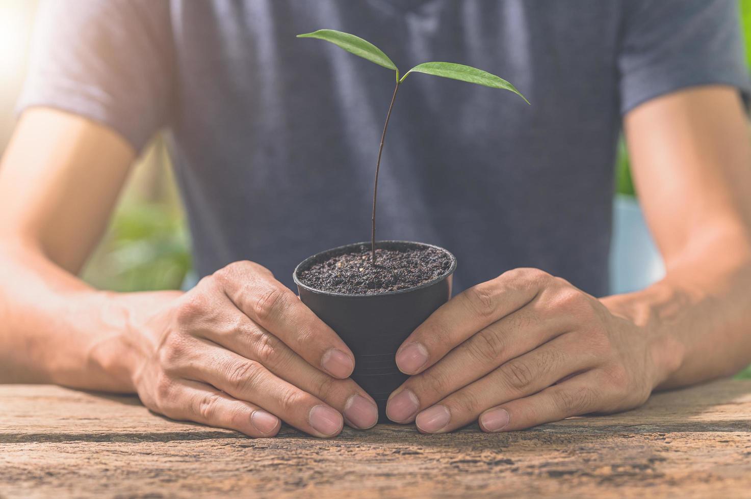 homem segurando um vaso de planta foto