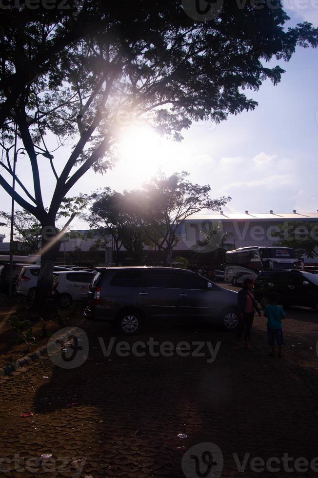 silhueta do árvores dentro a carro parque foto