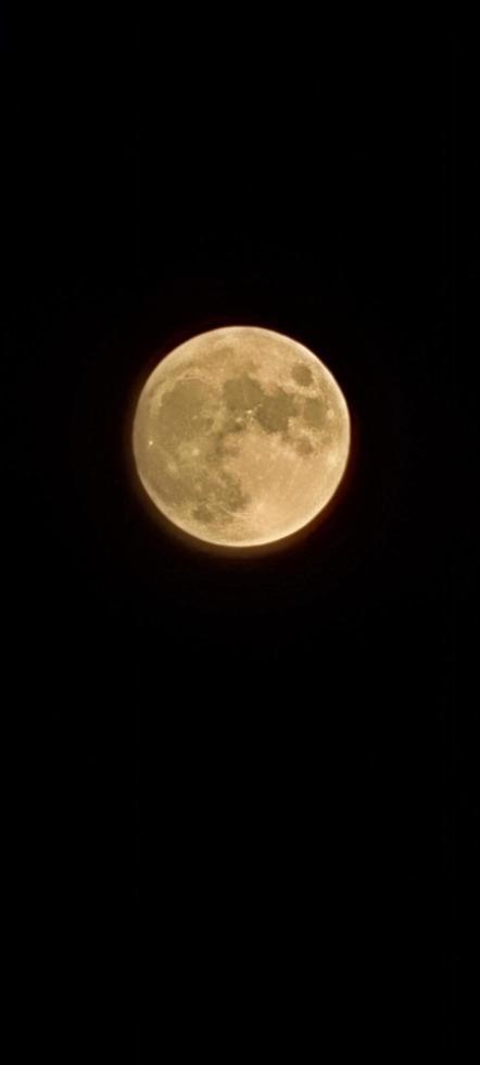 cheio lua tiro dentro a noite foto