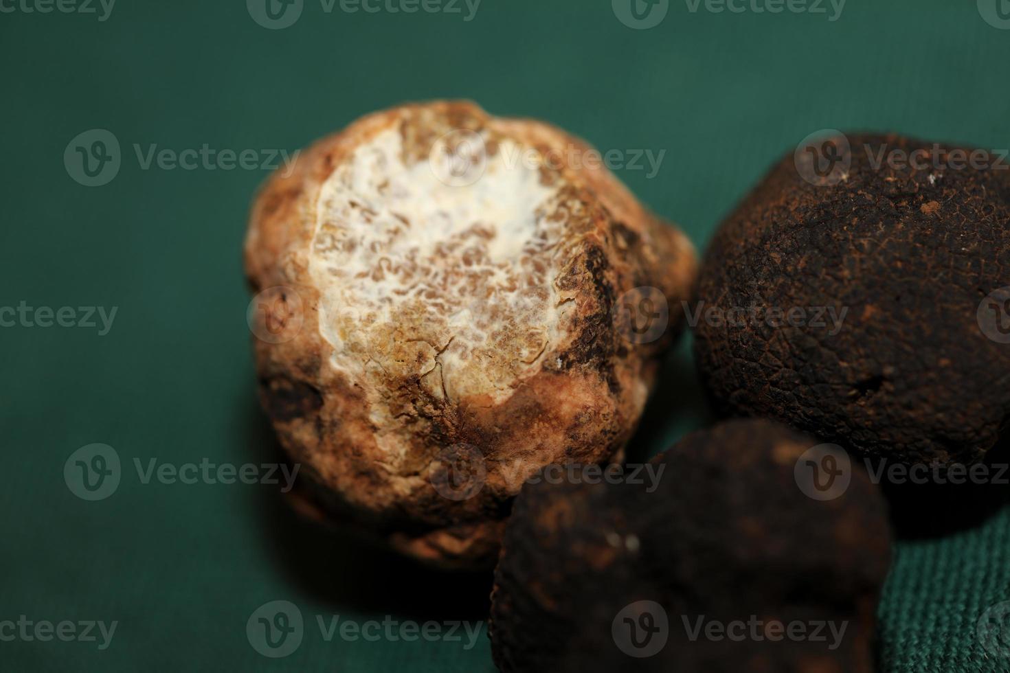 branco e Preto trufas cogumelo fechar acima fundo botânico impressões tubérculo magnatum aestivum família tuberaceae grande Tamanho Alto qualidade cenário foto