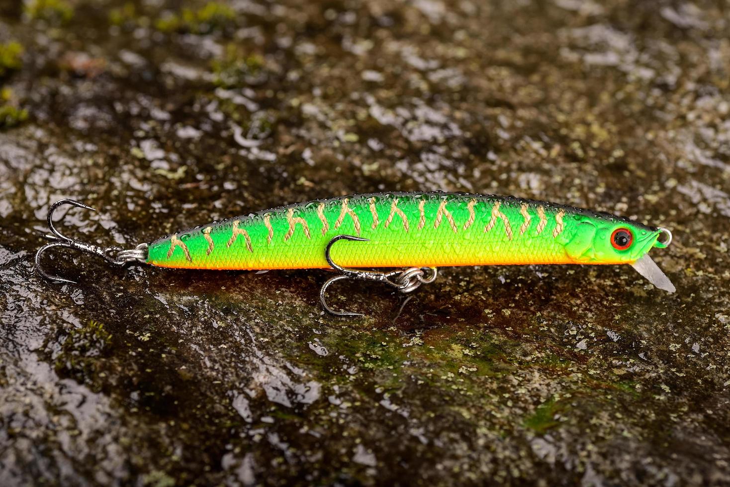 isca de pesca balançando em uma pedra molhada com musgo foto