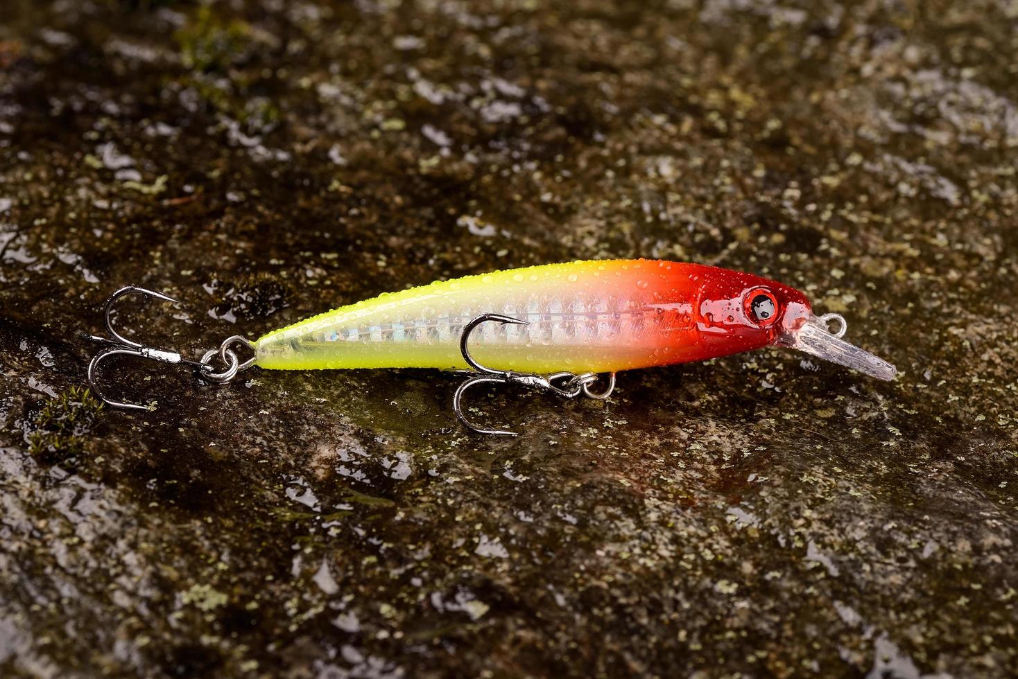 isca de pesca balançando em uma pedra molhada com musgo foto