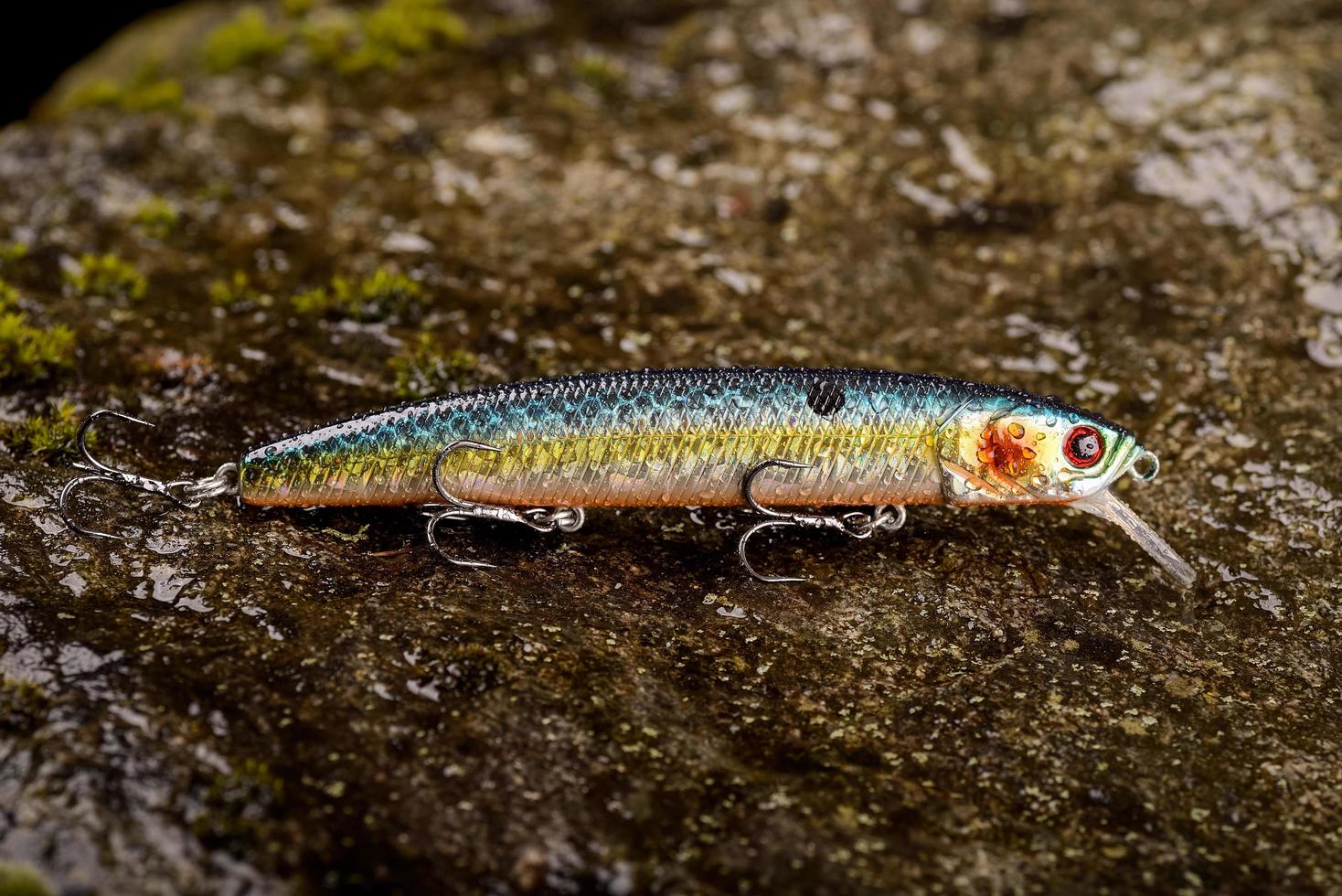 isca de pesca balançando em uma pedra molhada com musgo foto