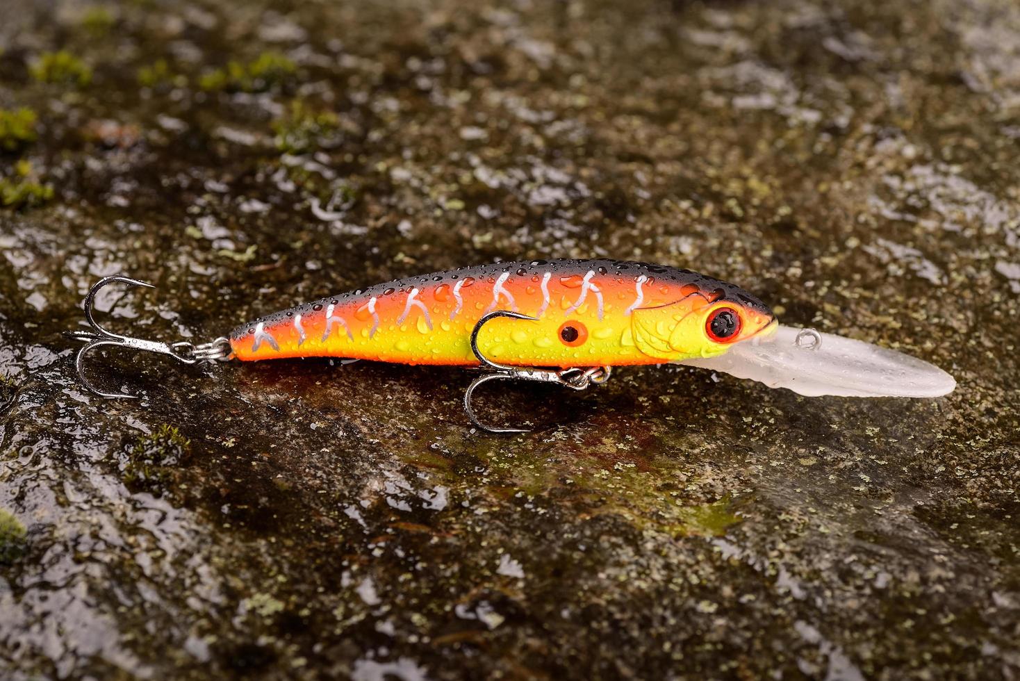 isca de pesca balançando em uma pedra molhada com musgo foto