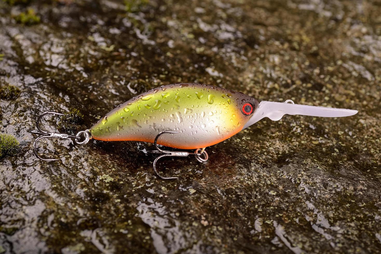 isca de pesca balançando em uma pedra molhada com musgo foto