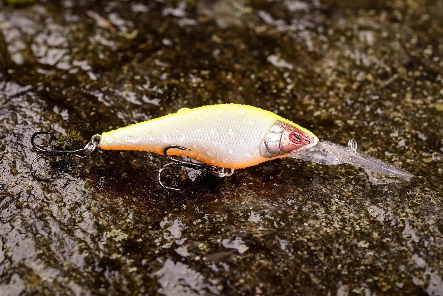 isca de pesca balançando em uma pedra molhada com musgo foto
