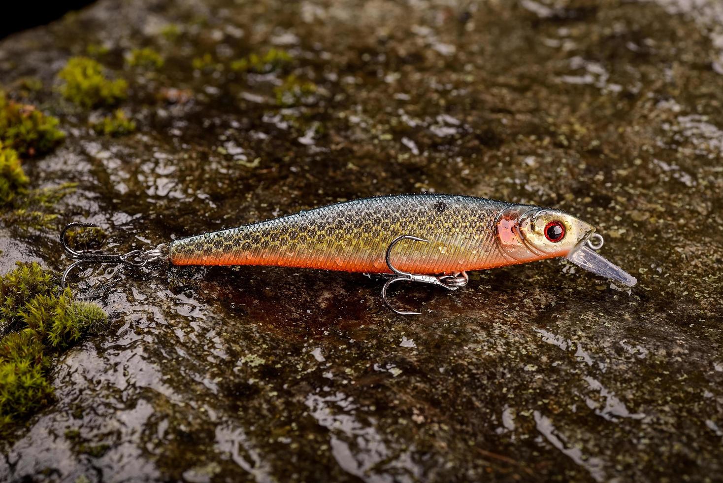 isca de pesca balançando em uma pedra molhada com musgo foto