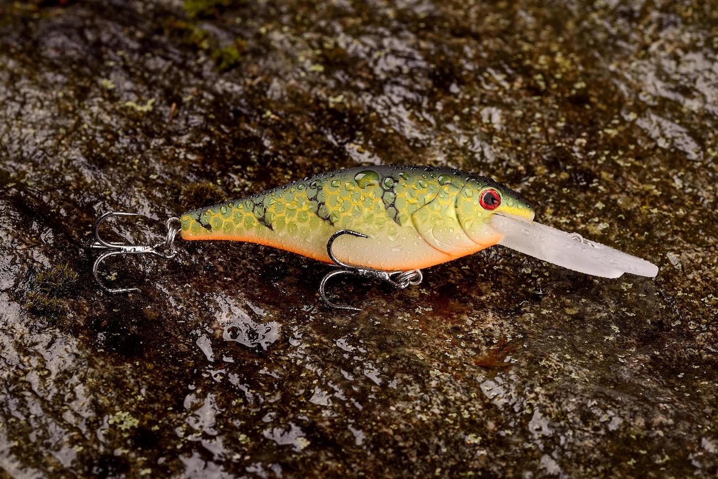 isca de pesca balançando em uma pedra molhada com musgo foto