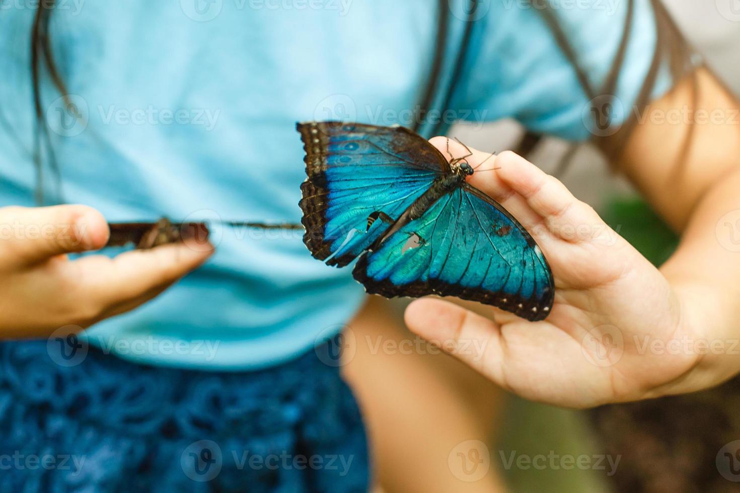 lindo borboleta sentado em a menina mão foto