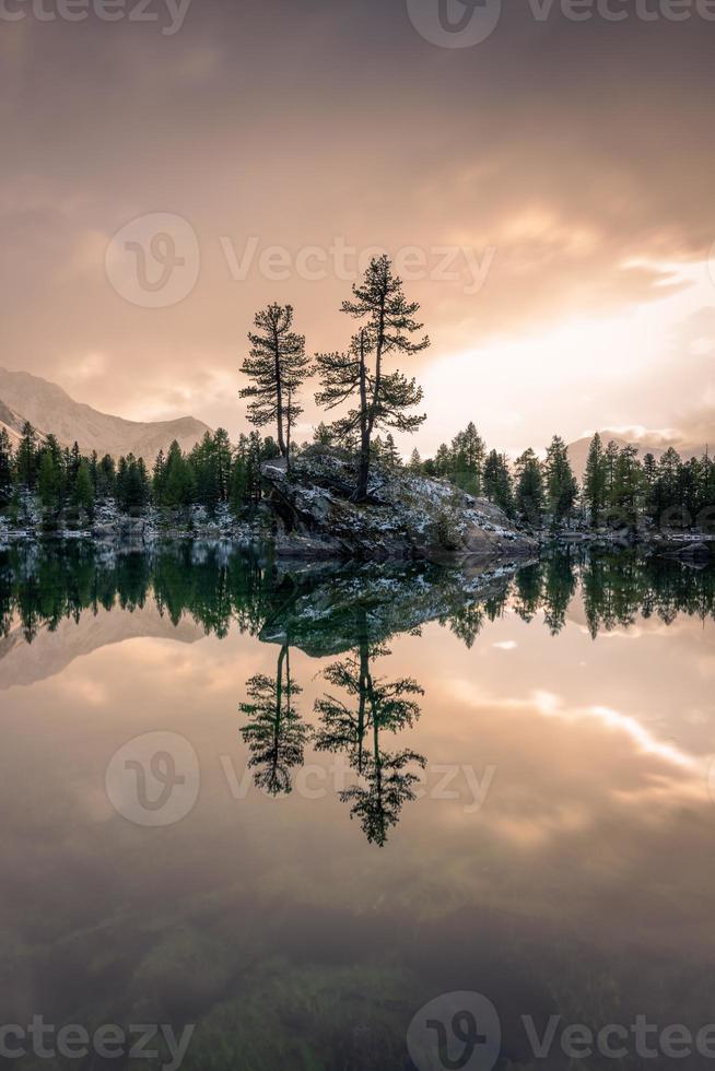 uma lago dentro inverno, em que carrinhos uma Rocha com dois árvores, durante uma pôr do sol foto