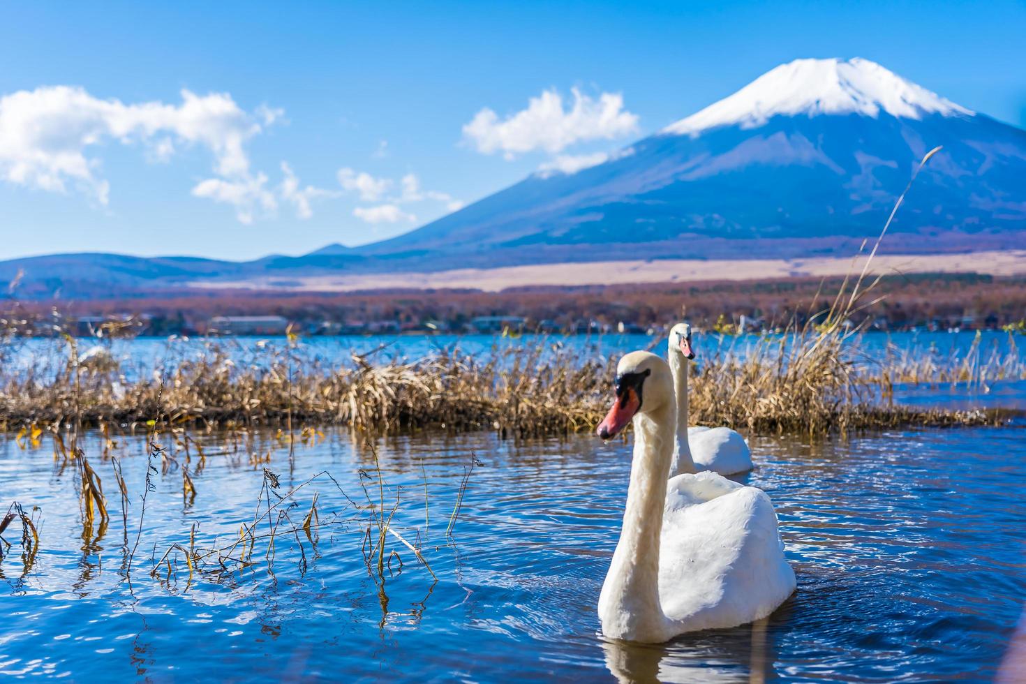 mt. fuji e lago yamanakako no japão foto