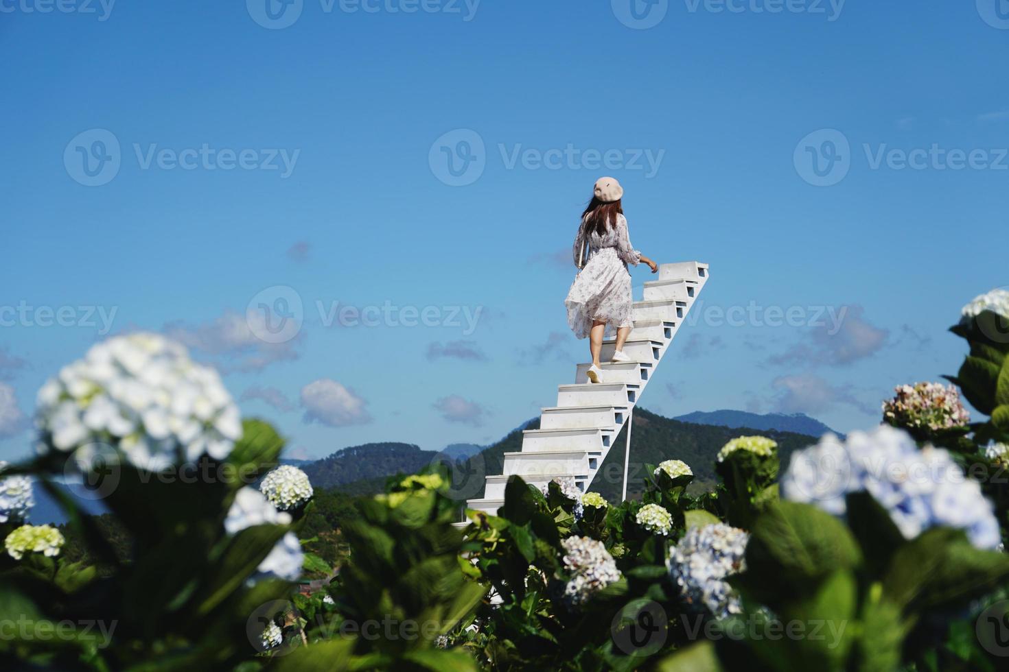 jovem mulher viajante desfrutando com florescendo hortênsias dentro dalat, Vietnã, viagem estilo de vida conceito foto