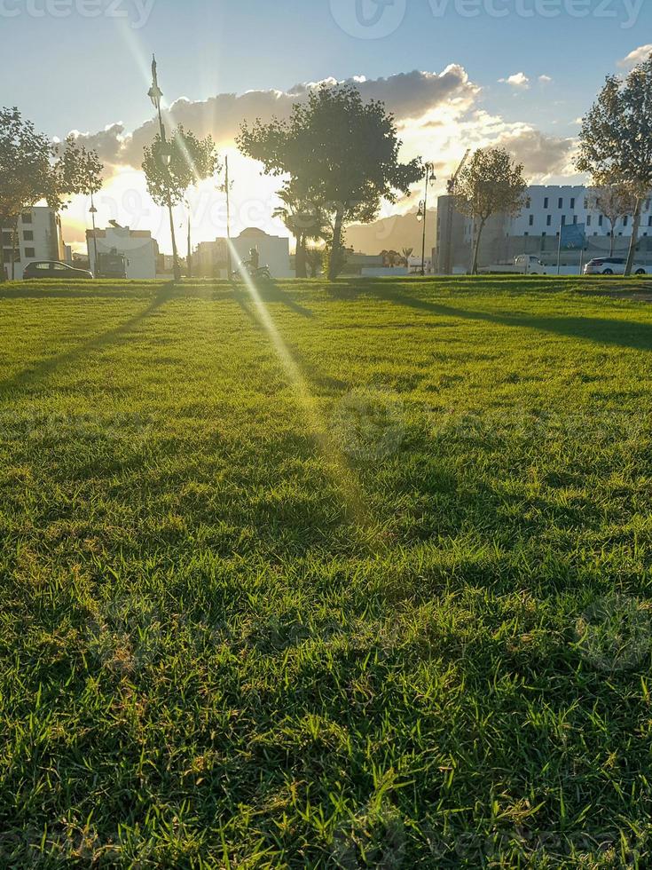 urbano pôr do sol uma espetacular exibição do natureza beleza foto