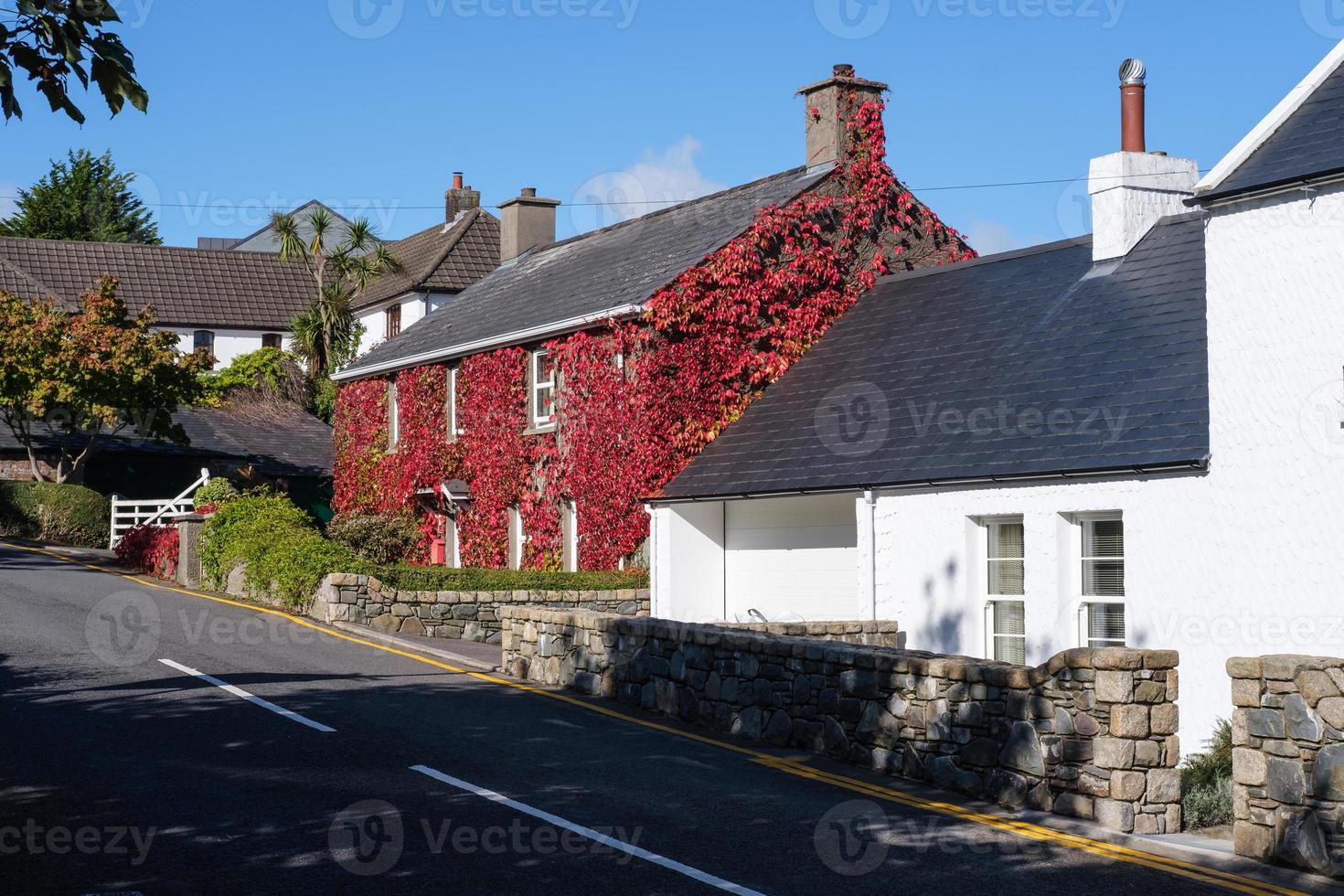 casas dentro crawfordsburn, norte Irlanda, Reino Unido foto