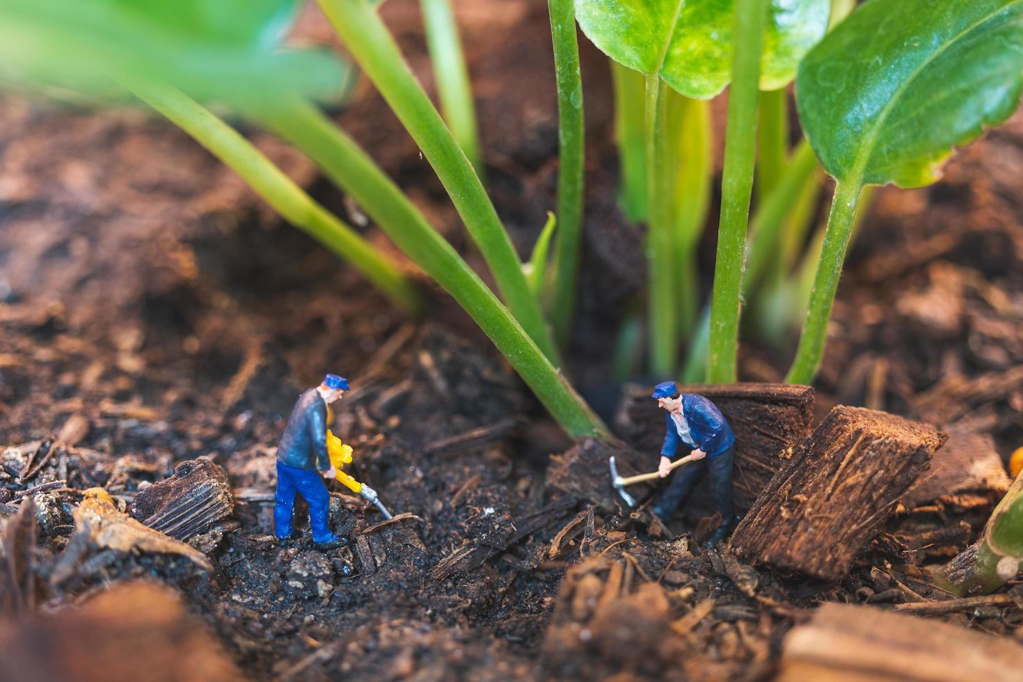 trabalhadores em miniatura trabalhando com uma árvore, protegendo o conceito de natureza foto