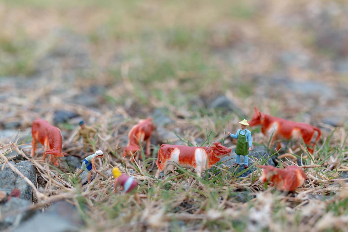 jardineiros em miniatura trabalhando no campo, agricultor e conceito de jardinagem foto