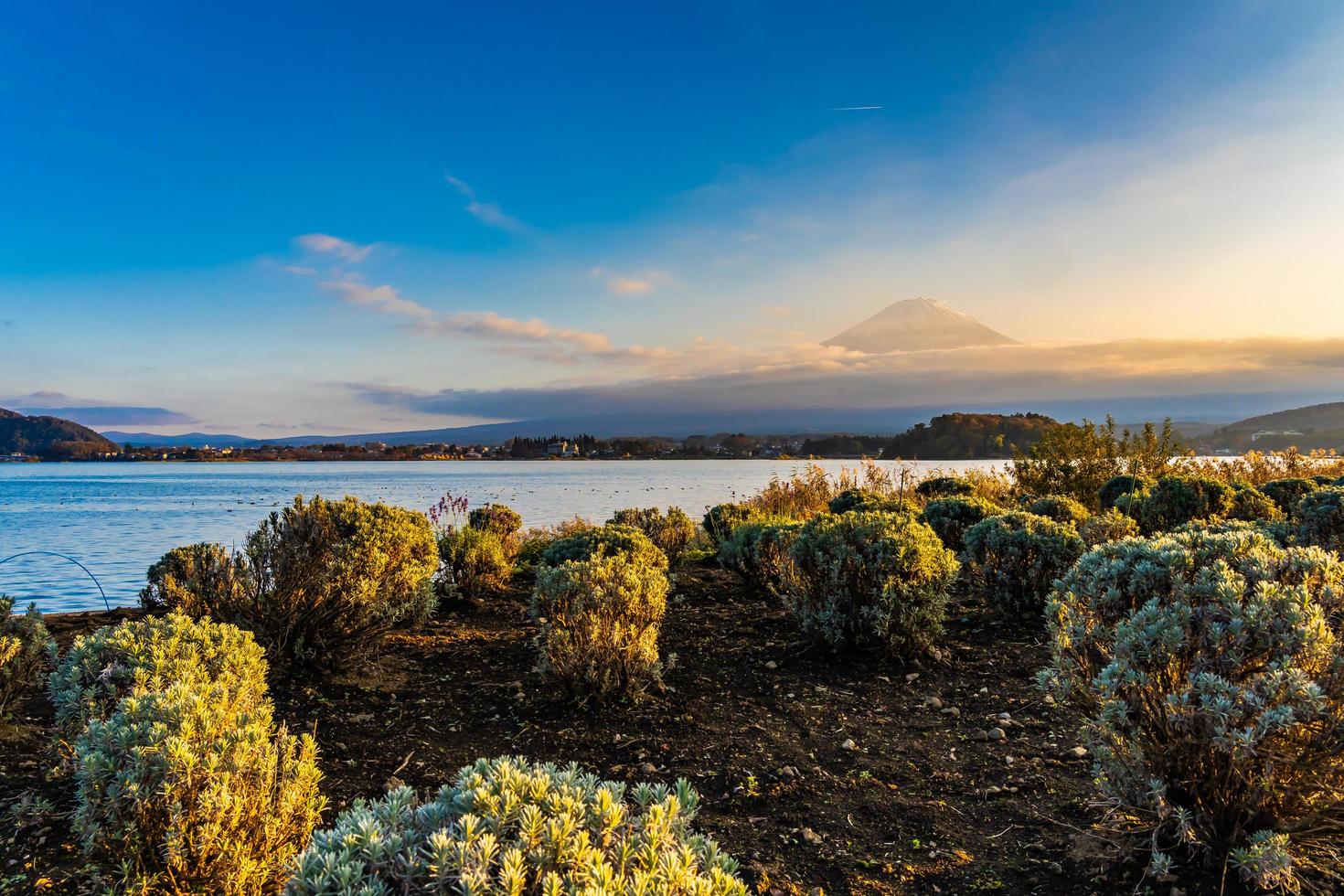 mt. fuji com em yamanashi, japão foto