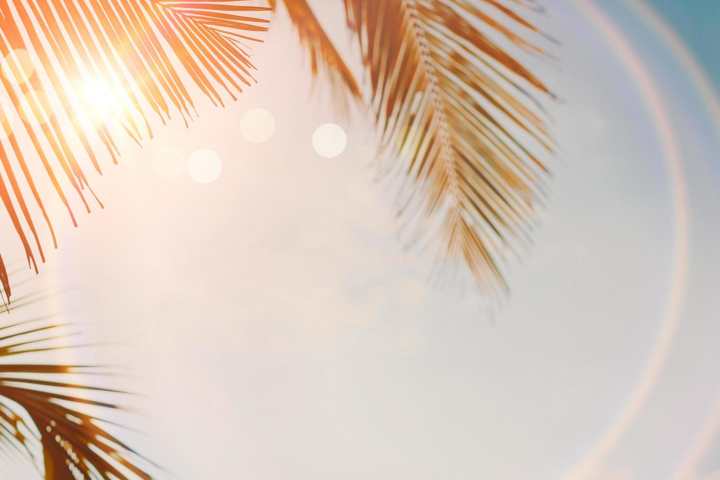 coqueiros tropicais no pôr do sol no clarão do céu e na natureza bokeh foto