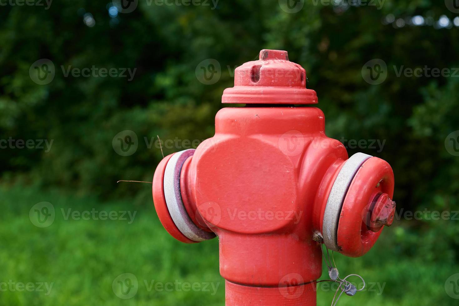 vermelho fogo Hidrante dentro cidade parque, fechar acima foto