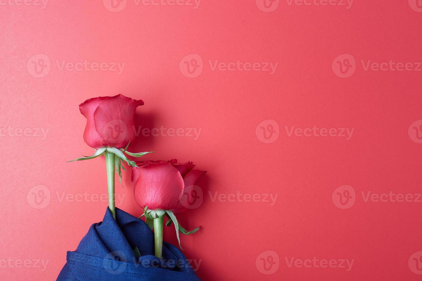 rosas em um fundo vermelho, conceito para o dia dos namorados foto