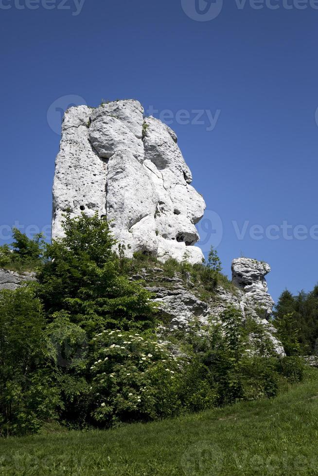 Urso - uma Rocha perto a castelo dentro ogrodzieniec foto