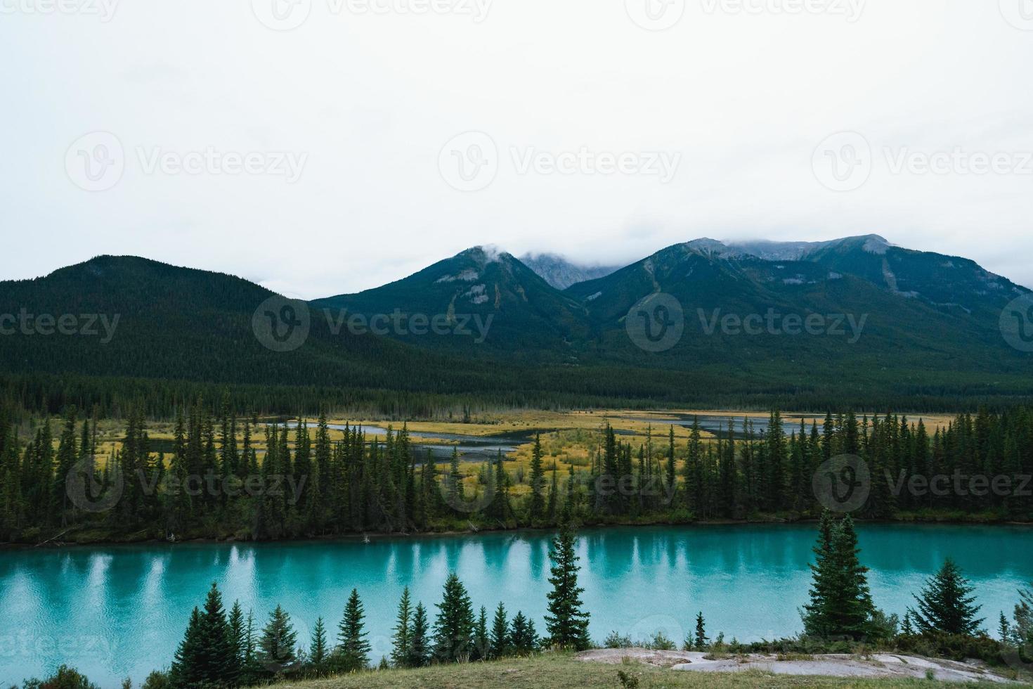 arco rio e rochoso montanhas a partir de pântano ponto de vista dentro banff nacional parque foto