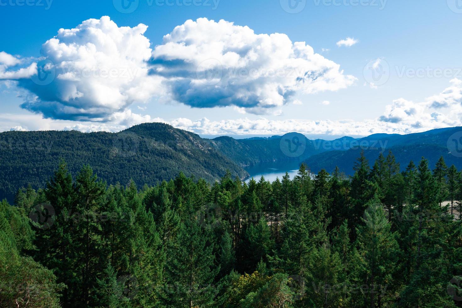 Visão a partir de a topo do uma montanha em Vancouver ilhas, britânico Colômbia, Canadá foto