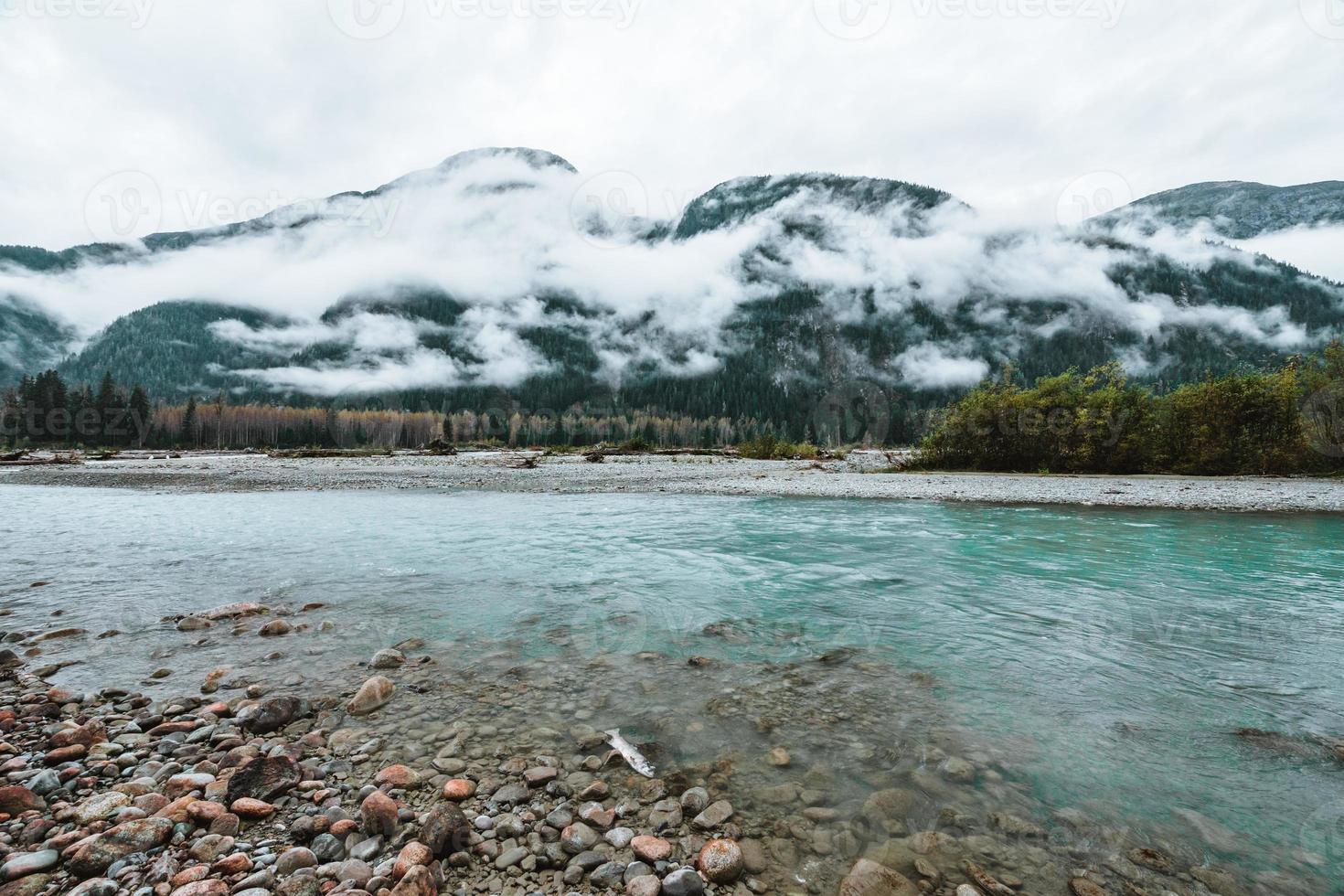 rio dentro Alaska Onde ursos pardos gostar para peixe com nebuloso montanhas foto